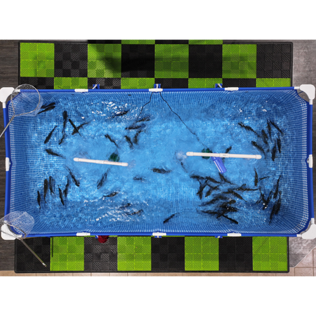 Indoor trout fishing, too! Keep your catch!